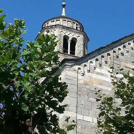 Giardino Ulivo Villa Gravedona