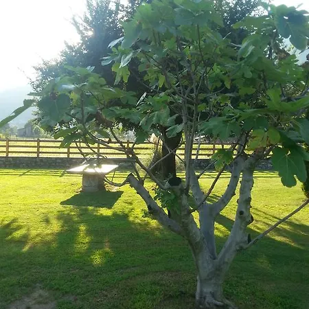 Giardino Ulivo Villa