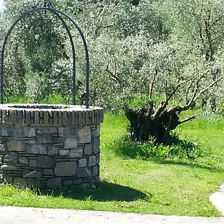 Giardino Ulivo Villa Gravedona