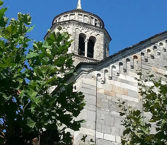 Giardino Ulivo Villa Gravedona