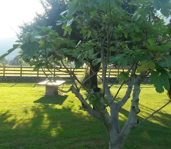 Giardino Ulivo Villa