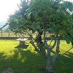 Giardino Ulivo Villa