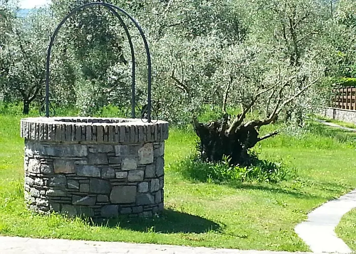 Giardino Ulivo Vila Gravedona